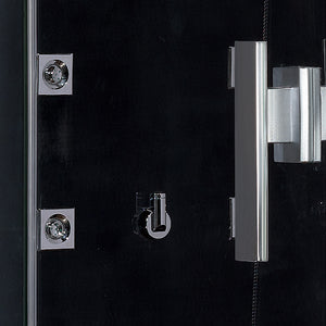 Platinum DZ961F8L Steam Shower - Black handle