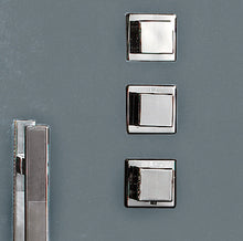 Load image into Gallery viewer, Platinum DZ972F8 Steam Shower-White control and handle