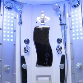 Mesa 608P Steam Shower inside
