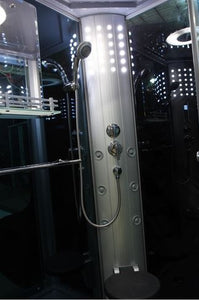 Mesa 802L Steam Shower inside pic